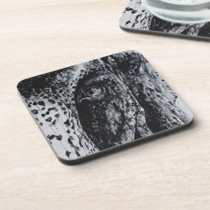 Porta-copo Ellie Elephant Asian Willife Arte Animal Selva