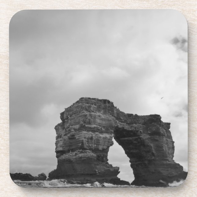 Porta-copo Equador, Ilhas Galápagos, Ilha de Darwin, Ondas (Frente)