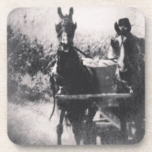 Porta-copo Equipe de Cavalo #cavalo #amish