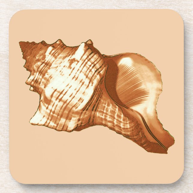 Porta-copo Esboço da concha - castanho, branco e bronzeado (Frente)