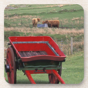 Porta-copo Escócia, Ilha de Skye, Kilmuir. Animais de fazenda