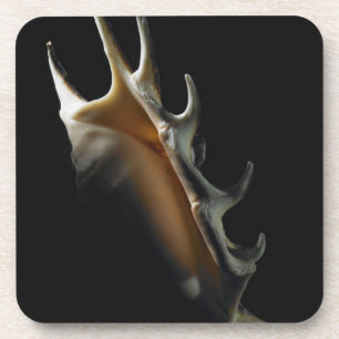 Porta-copo Escudo do Conch