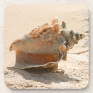 Porta-copo Escudos do mar na praia