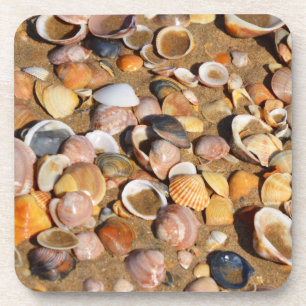 Porta-copo Escudos em um Sandy Beach a Andaluzia, espanha