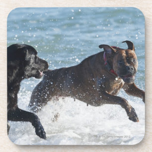 Porta-copo espanha de tarifa