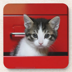 Porta-copo Espreitar do gatinho