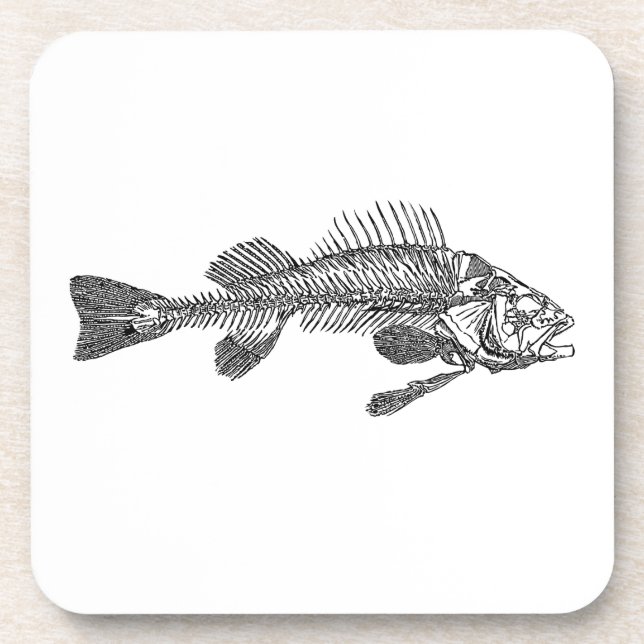 Porta-copo Esqueleto de peixe (Frente)