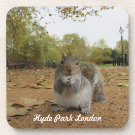 Porta-copo Esquilo-cinzento Hyde Park Londres.
