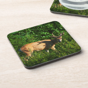 Porta-copo Esteja a caminho