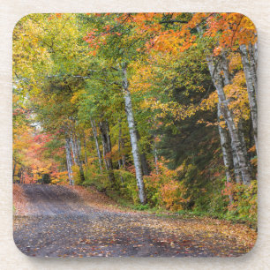 Porta-copo Estrada de Cascalho com Folhas e Cores de Outono