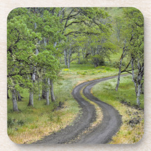 Porta-copo Estrada rural através de árvores, Oregon