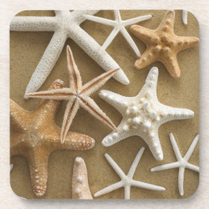 Porta-copo Estrela do mar na areia