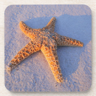 Porta-copo Estrela do mar na areia branca