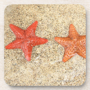 Porta-copo estrela do mar na praia, na borda do oceano