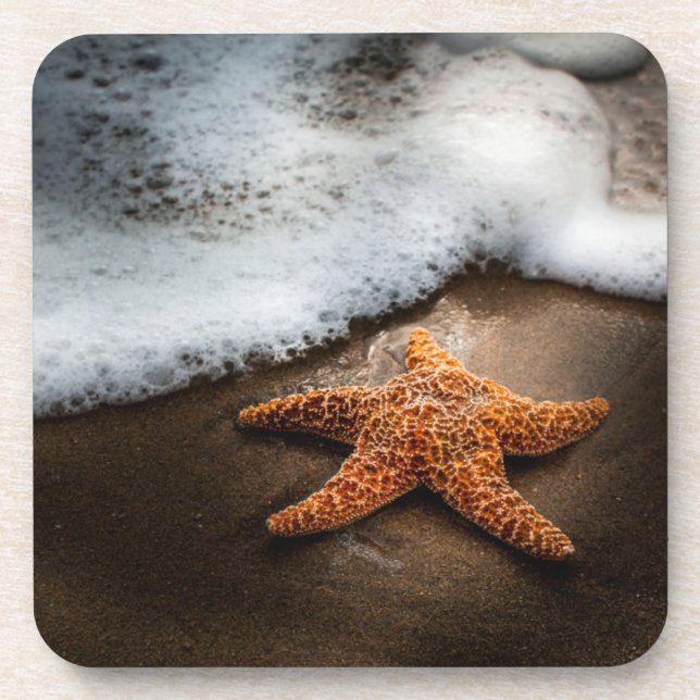 Porta-copo Estrela do mar só na praia (Frente)