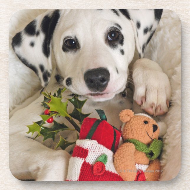 Porta-copo estúdio (Frente)