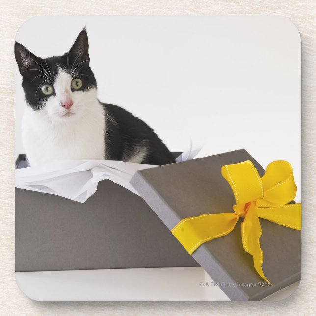 Porta-copo Estúdio de gato preto e branco na caixa de present (Frente)