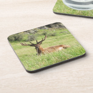 Porta-copo Etiquetas da Nova Zelândia