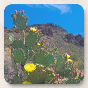 Porta-copo EUA, Arizona. Cacto Nas Colinas