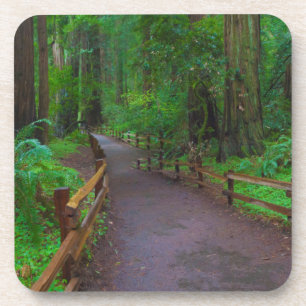 Porta-copo EUA, Califórnia. Caminho Entre Redwoods
