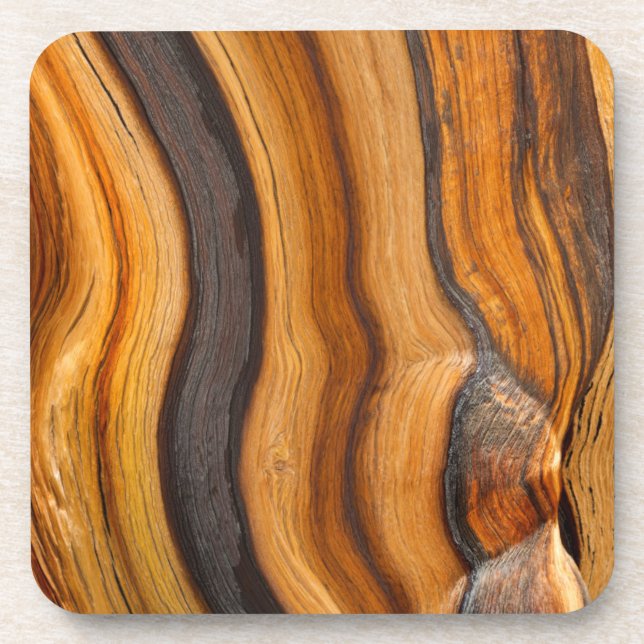 Porta-copo EUA, Califórnia, Floresta Nacional Inyo 7 (Frente)