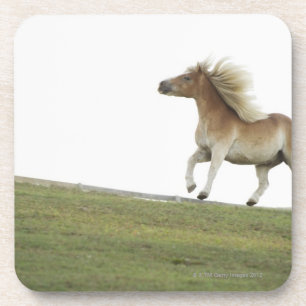 Porta-copo EUA, Estados de Nova Iorque, Hudson, cavalo que