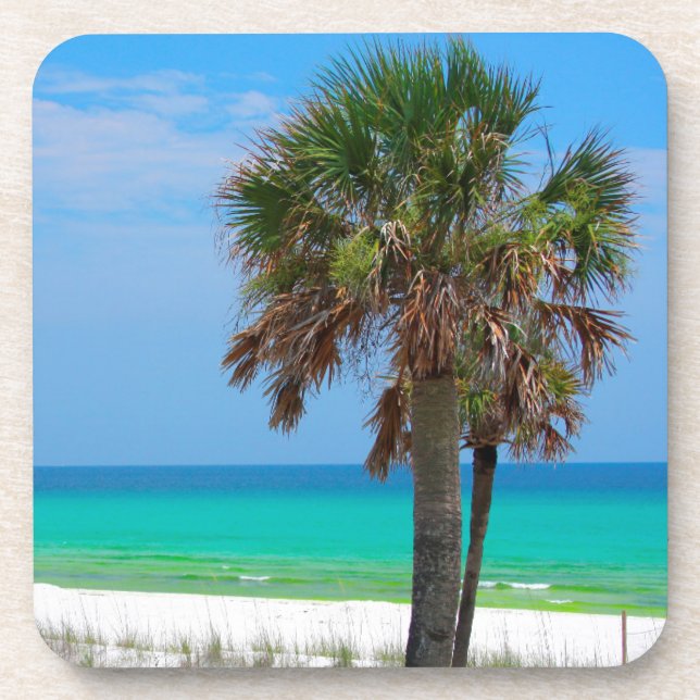 Porta-copo EUA, Flórida. Palmeiras na costa de Emerald (Frente)
