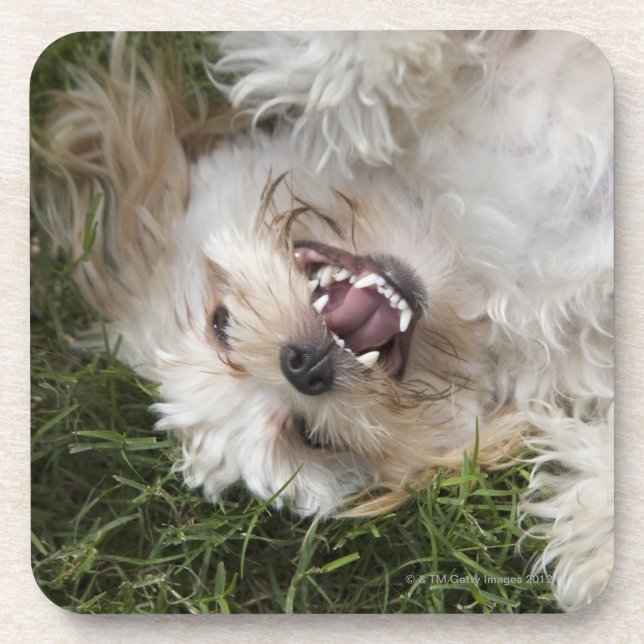 Porta-copo EUA, Florida, Ponte Vedra Beach (Frente)