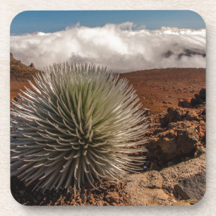 Porta-copo EUA, Havaí, Maui, Parque Nacional Haleakala