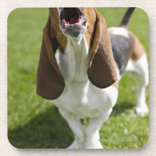 Porta-copo EUA, Illinois, Washington, retrato do Bassett