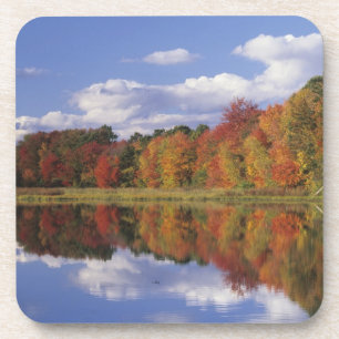 Porta-copo EUA, Massachusetts, Acton. Reflexo do outono