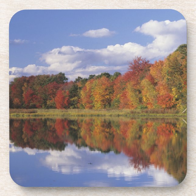 Porta-copo EUA, Massachusetts, Acton. Reflexo do outono (Frente)