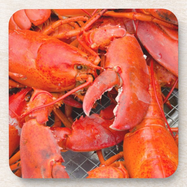 Porta-copo EUA, Massachusetts, Ilha de Martha's Vineyard (Frente)