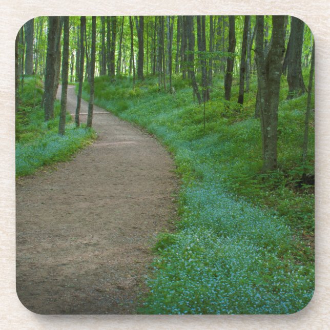 Porta-copo EUA, Michigan. Caminho das Falhas do Miner (Frente)