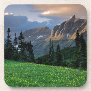 Porta-copo EUA, Montana, Parque Nacional Glacier, Logan Pass