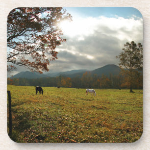Porta-copo EUA, Tennessee. Cavalos Em Cades Cove Valley