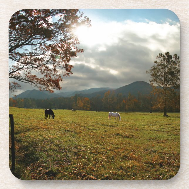 Porta-copo EUA, Tennessee. Cavalos Em Cades Cove Valley (Frente)