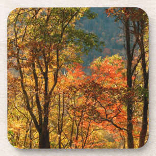 Porta-copo EUA, Tennessee. Folhagem de Outono