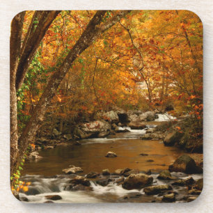 Porta-copo EUA, Tennessee. Montanha Rushing Mountain Creek 3