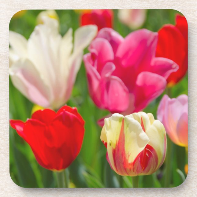 Porta-copo EUA, Tennessee, Nashville (Frente)