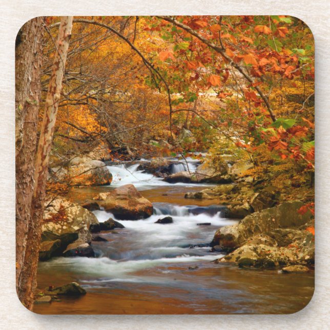 Porta-copo EUA, Tennessee. Rushing Mountain Creek (Frente)