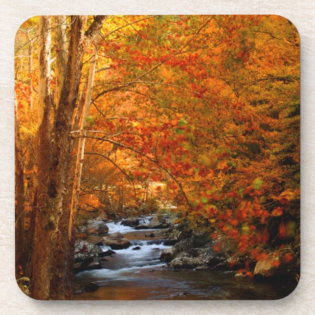 Porta-copo EUA, Tennessee. Rushing Mountain Creek 2 (Frente)