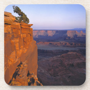 Porta-copo EUA, Utah, Dead Horse Point SP. Luz tardia se tran