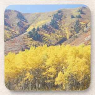 Porta-copo EUA, Utah, Floresta Nacional Wasatch-Cache,