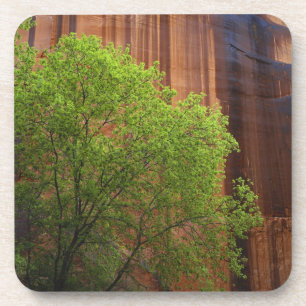 Porta-copo EUA, Utah, Paria Canyon - Cliffs Vermilion