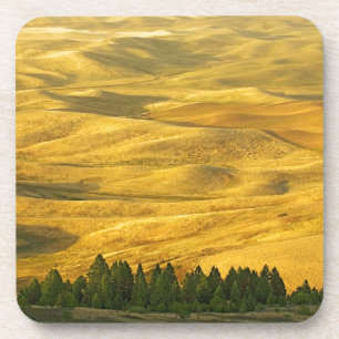 Porta-copo EUA, Washington, Condado de Whitman, Palouse, Trig