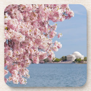 Porta-copo EUA, Washington DC, árvore de cereja