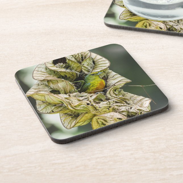 Porta-copo Eufonia Oleícola, Pássaro Belize Exótico (Left Side)