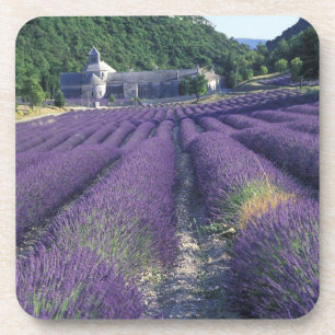 Porta-copo Europa, França, Provença. Campos de lavanda