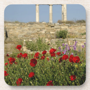 Porta-copo Europa, Grécia, Cíclades, Delos. Ruínas de colu